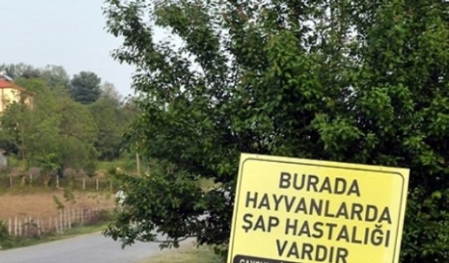 Sakarya'da şap karantinası