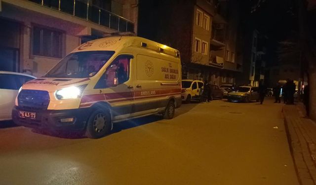 Bursa'da hafif ticari araç ile otomobil çarpıştı: 2 yaralı