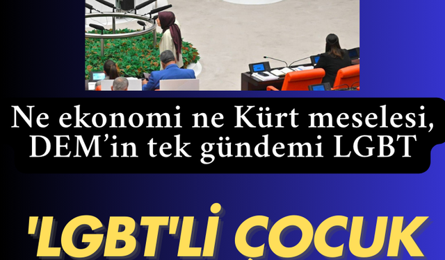 DEM'in tek gündemi  'LGBT': Diyarbakırlılara sorun, 'LGBT'li çocuk mu olur?