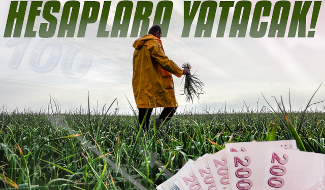 Tarımsal destek ödemeleri hesaba yatırılacak!