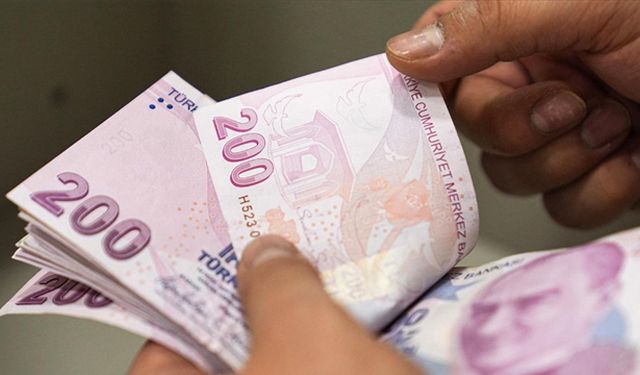 Sosyal ve Ekonomik Destek ödemeleri hesaplara yatırıldı