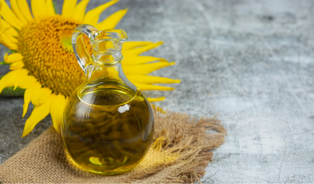 Ayçiçek yağında dünya lideri olduk