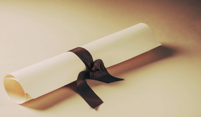 Lider olduk: Türkiye'de diploma iş değil işsizlik getiriyor