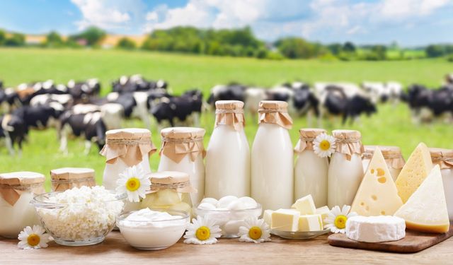 Süt ve süt ürünlerine gümrük vergisi