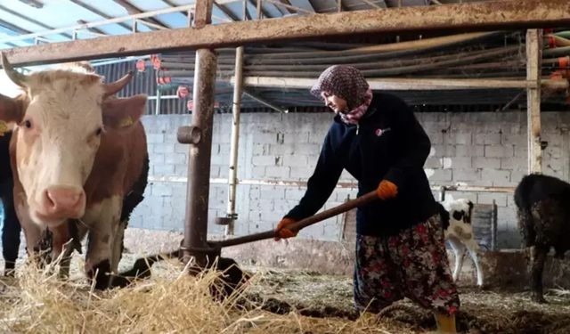 Tarımsal destekleme ödemeleri ne zaman yatacak? Bakan Yumaklı açıkladı