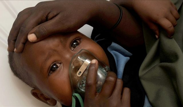 Nijerya’da Lassa ateşi hastalığında can kayıpları artıyor