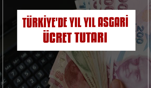 Türkiye'de yıl yıl asgari ücret rakamları - 2011'den 2024'e kadar