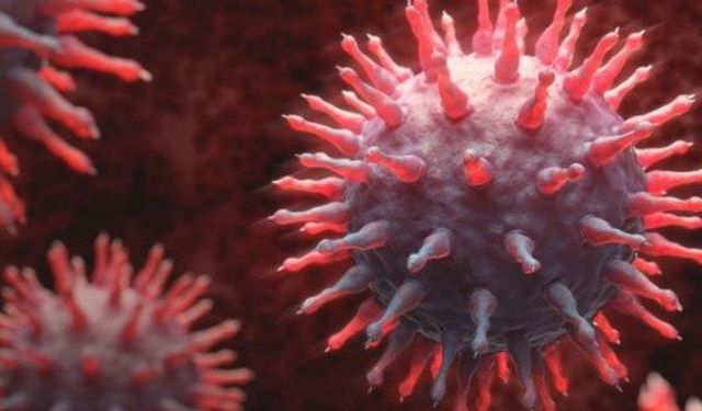 Yeni grip varyantı: Tüm dünyaya yayılabilir! Uzmanlar uyardı!