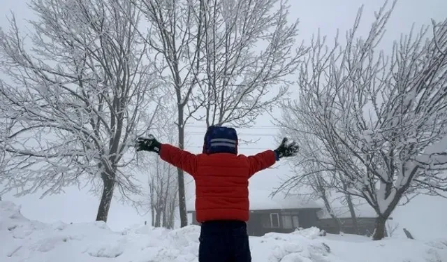 Birçok ilde yarın okullar tatil edildi