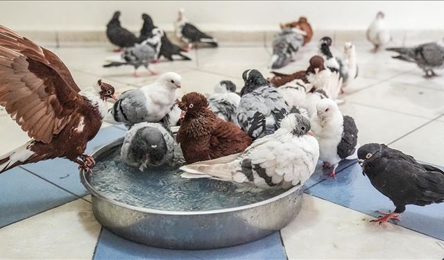 Gusül abdesti nasıl alınır? Hanefilere ve Şafiilere göre ayrı ayrı