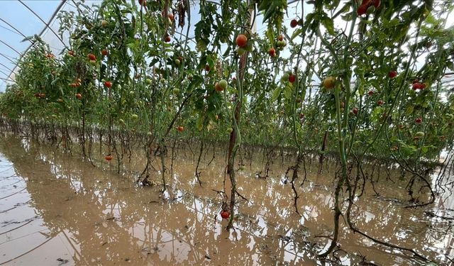 Antalya'daki hasar tespit incelemelerine ilişkin açıklama