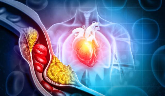 Kolesterol nedir? Kolesterol düşürücü doğal besinler neler?