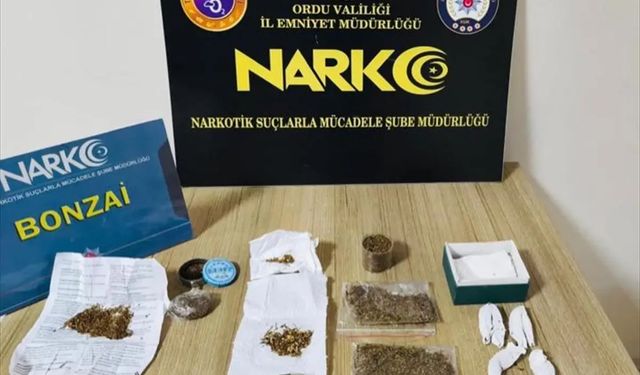 Fatsa’da zehir tacirlerine operasyon!