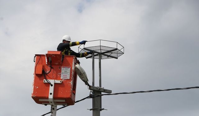 Leylekler için çok anlamlı çalışma!