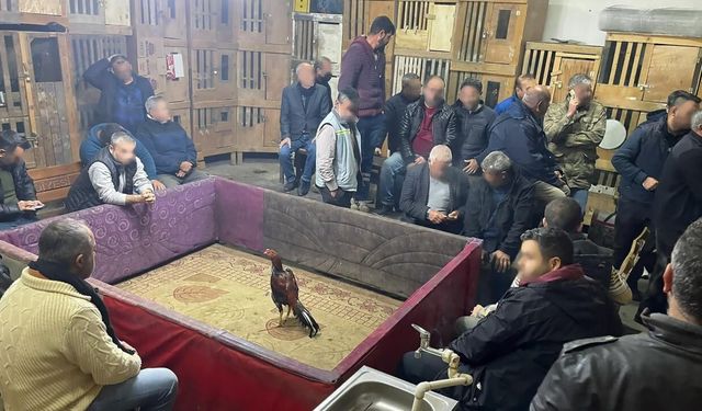 Horoz Dövüşü Operasyonu: 23 Kişiye Para Cezası