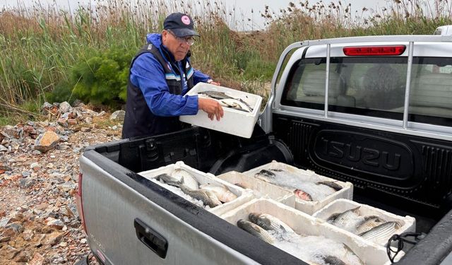 Yasadışı Avcılığa Operasyon: 80 Kilogram Kefale El Konuldu