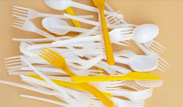 Tek kullanımlık plastik kısıtlamaları sanayide baskı ve kaygı oluşturuyor!