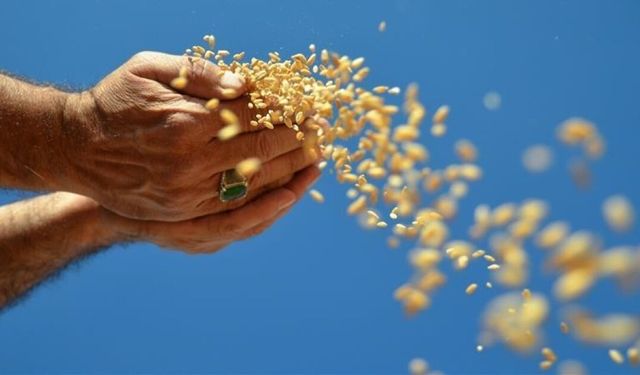 Küresel gıda alarmı