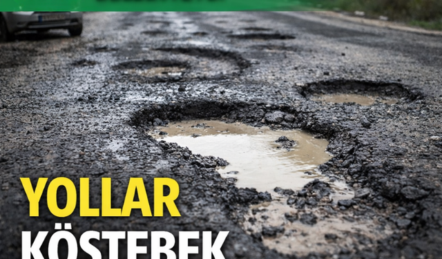 HÜDA PAR Diyarbakır'dan Belediyeye: Yollar köstebek yuvasına döndü