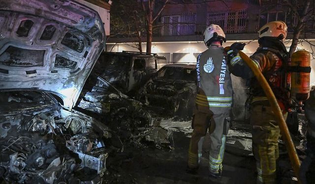 Araç kiralama şirketinde yangın: 15 araç küle döndü