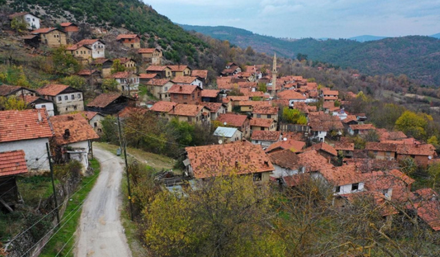 Türkiye'nin en tenha köyleri belli oldu! Nüfusu bakın kaç kişiden oluşuyor?
