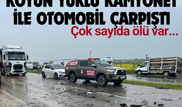 Koyun yüklü kamyonet ile otomobil çarpıştı: Çok sayıda ölü var