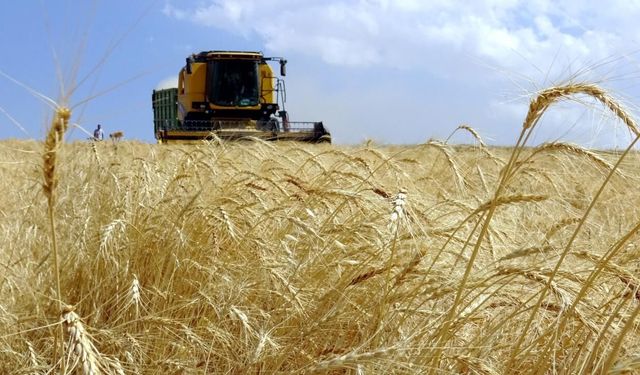 Tarımda güzel haber.. Yeni bölümler açılacak