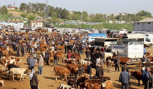 Diyarbakır'dan Batı'ya kurbanlık akışı: 20 binden fazla hayvan sevk edildi