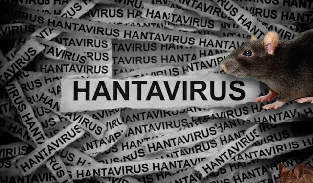 Hantavirüs nedir? Hantavirüs nasıl bulaşır?