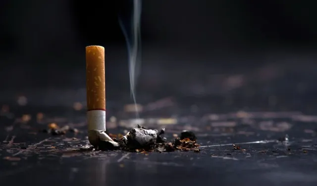 Tütün her yıl bakın kaç milyon insan öldürüyor! İşte şirketlerin yeni sinsi hedefi