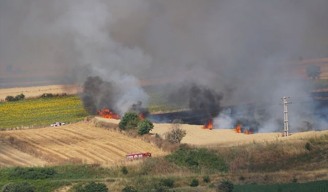 Tekirdağ'da 100 dekar buğday ekili alan yandı