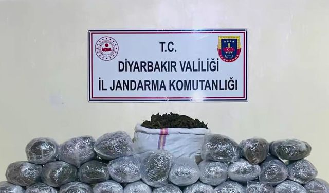 Diyarbakır'da 1 milyon 755 bin kök kenevir ve skunk ele geçirildi!