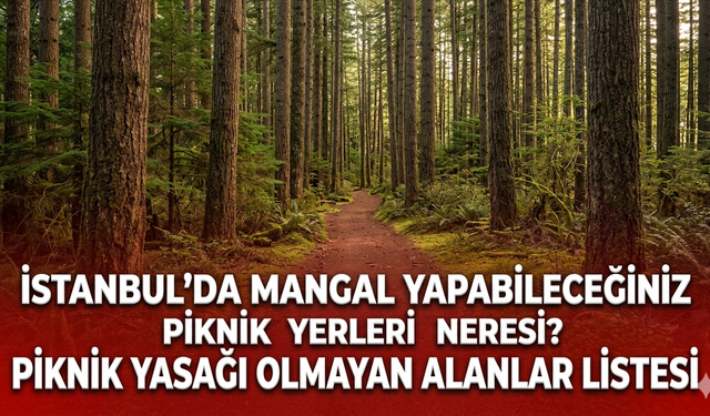 İstanbul'da mangal yapabileceğiniz piknik yerleri neresi? Piknik yasağı olmayan alanlar listesi