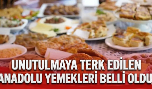 Unutulmaya terk edilen Anadolu yemekleri belli oldu!