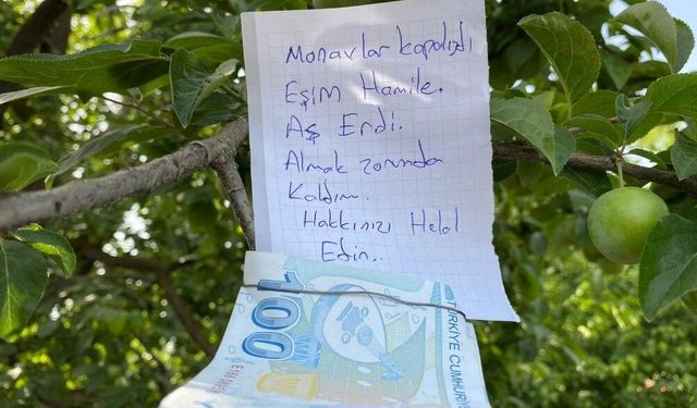 Sahibi Hazır Bulunmayan Bağdan Meyve Kopardıktan Sonra Para Bırakmak Caiz midir? Merak Edilen Sorunun Yanıtı!