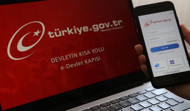 E-Devlet tarihî rekor tazeledi: Vatandaşlar en çok hangi hizmeti sorguladı?