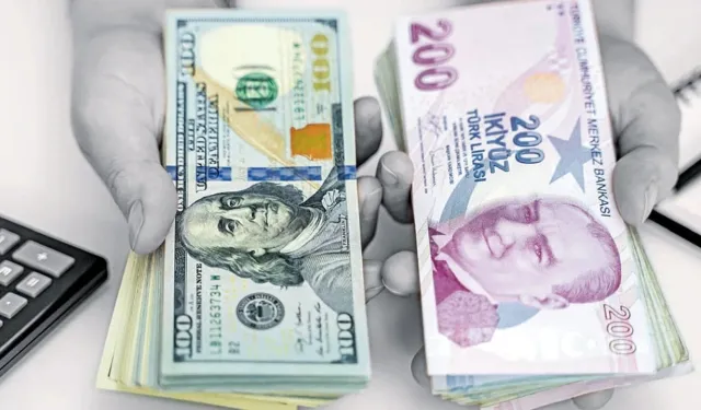 TL'nin TÜFE bazlı reel değeri geriledi