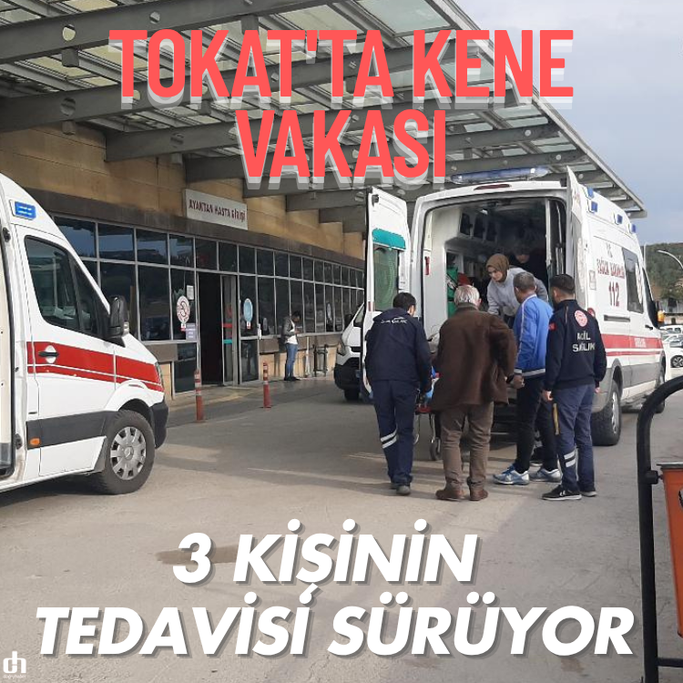 Tokat'ta kene vakası: 3 kişinin tedavisi sürüyor
