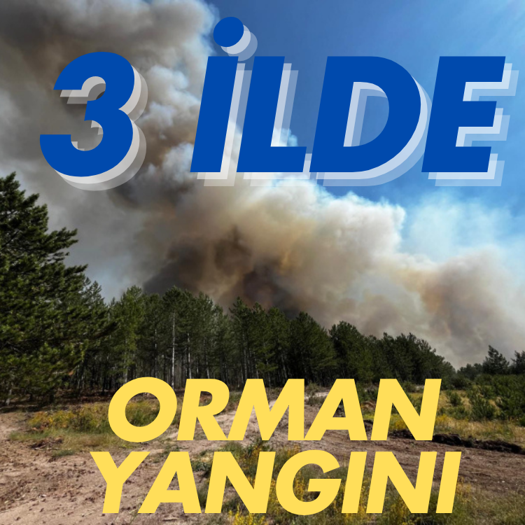Üç ilde orman yangını çıktı