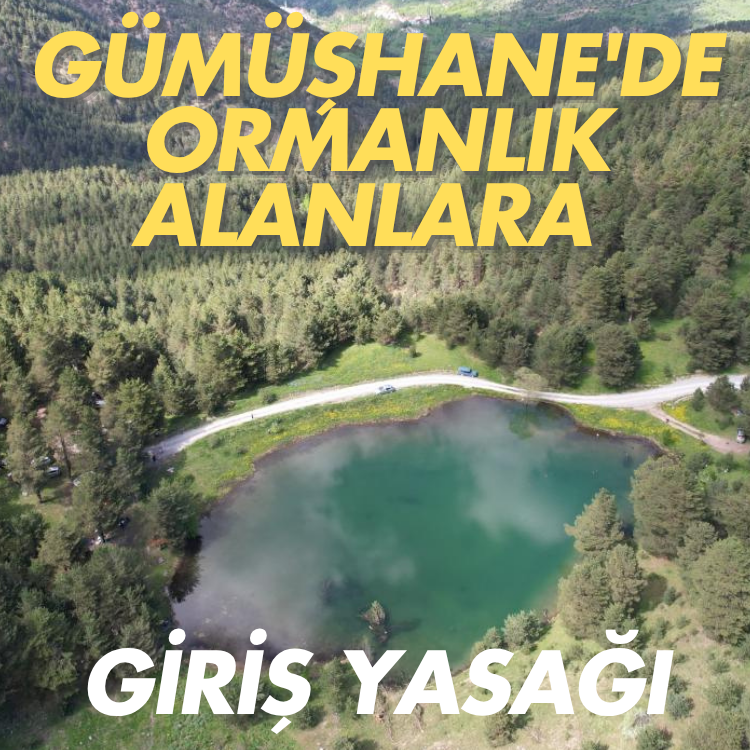 Gümüşhane'de ormanlık alanlara giriş yasağı