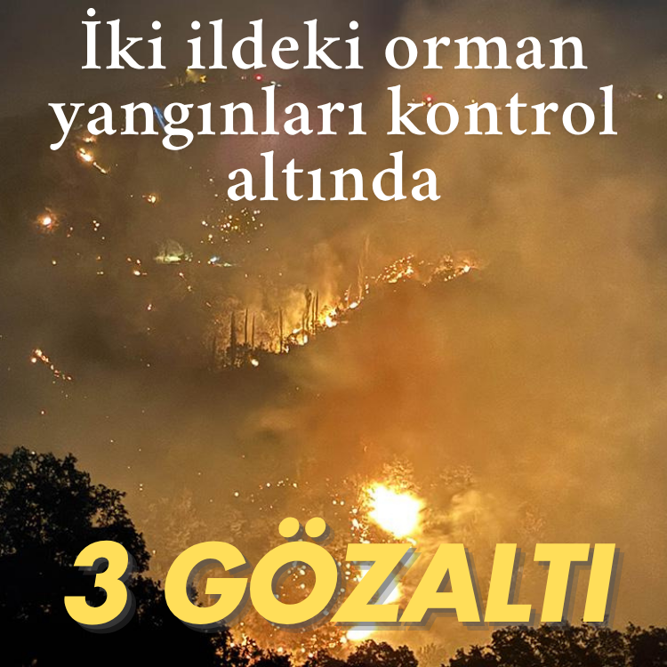 İki ildeki orman yangınları kontrol altında: 3 gözaltı