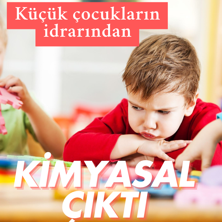 2-4 yaş çocukların %90’ının idrarından yüksek kimyasal çıktı