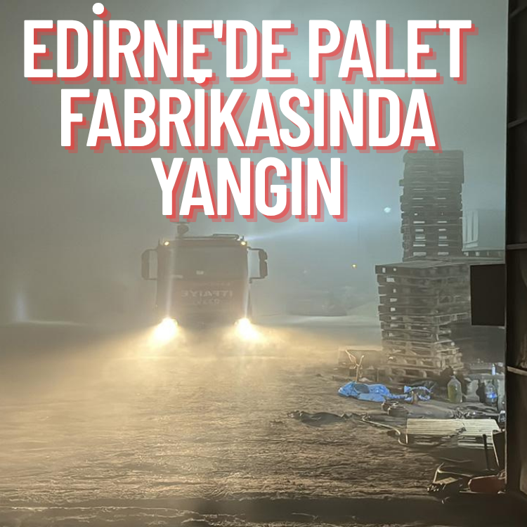 Edirne'de palet fabrikasında yangın