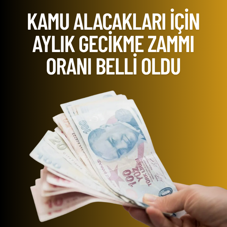 Kamu alacakları için aylık gecikme zammı oranı belli oldu