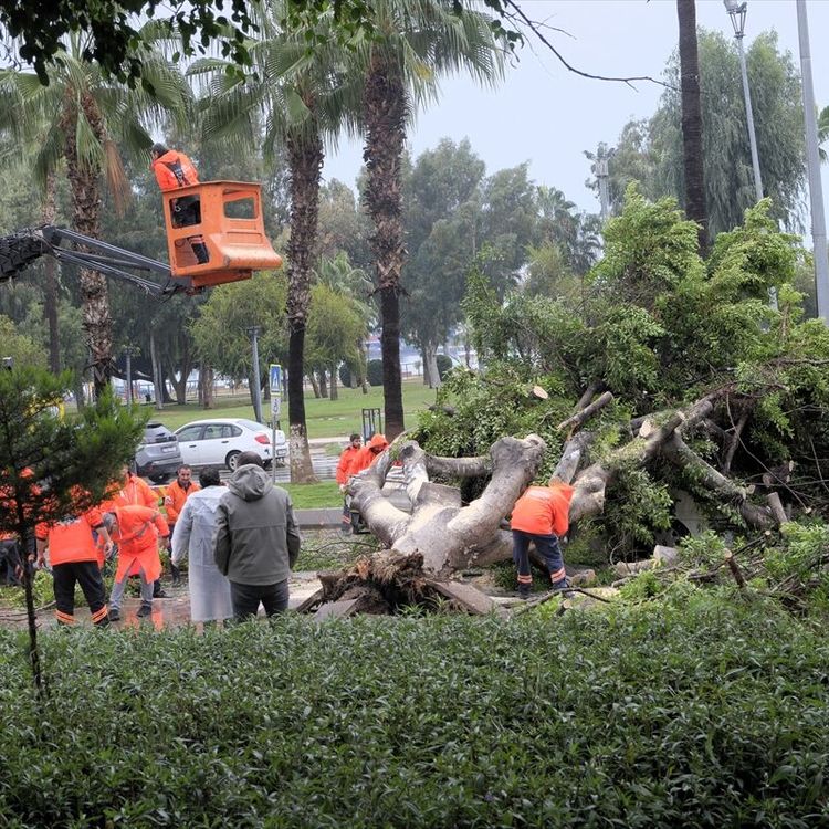 Rüzgarın etkisiyle devrilen ağaç seyir halindeki 3 araca zarar verdi