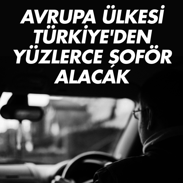 Avrupa ülkesi Türkiye'den yüzlerce  şoför alacak: İşte yıllık maaş