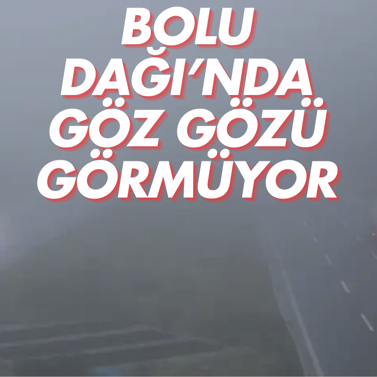 Bolu Dağı'nda sis: Göz gözü görmüyor
