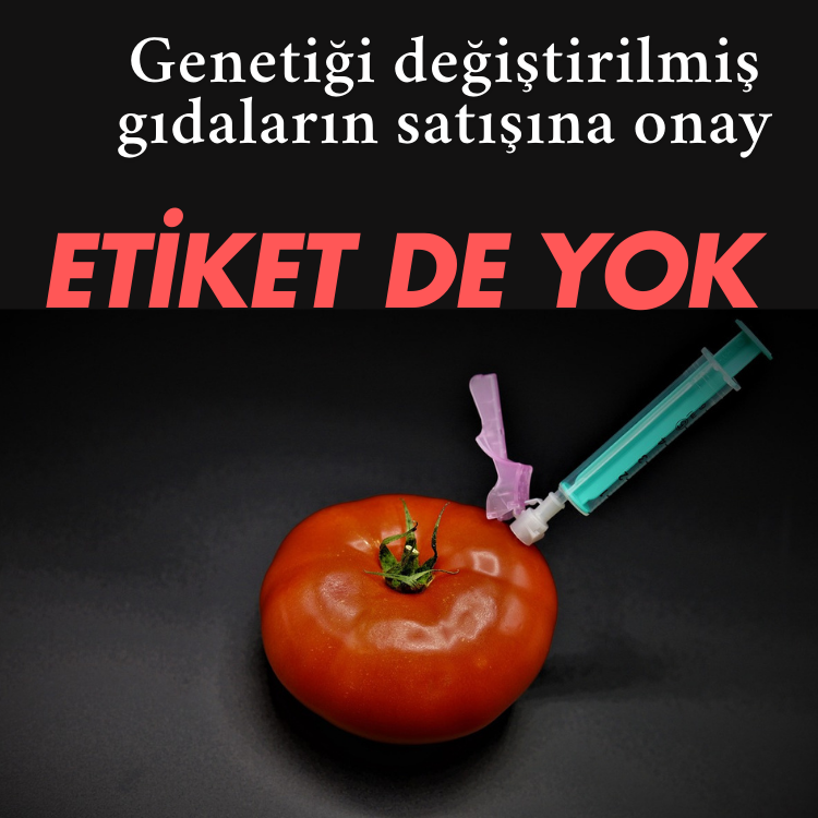 Genetiği değiştirilmiş gıdaların satışına onay... Etiket de yok
