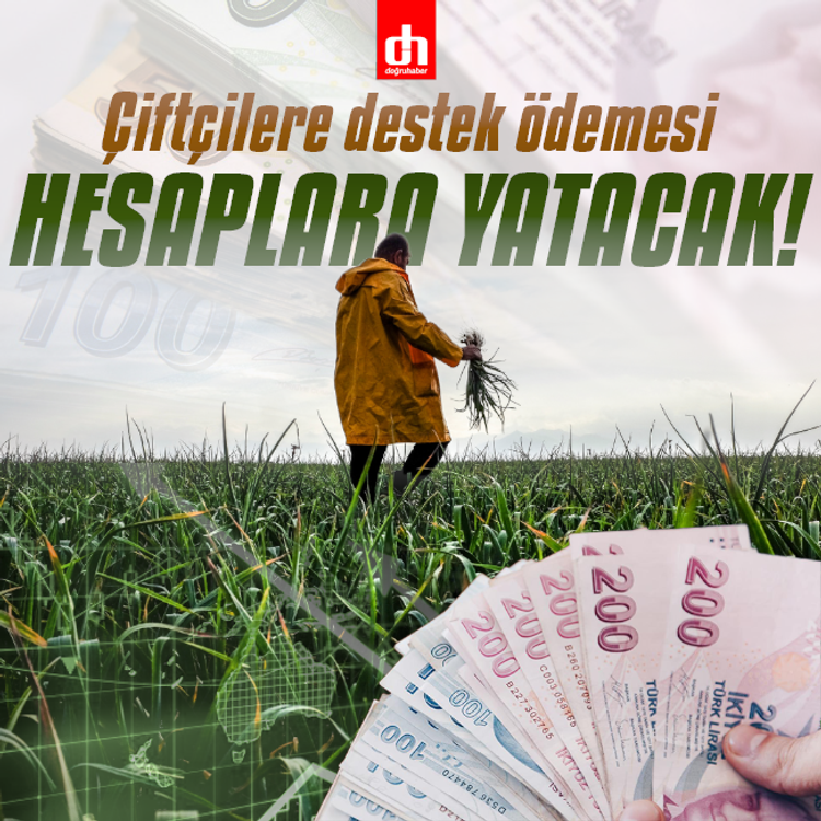 Tarımsal destek ödemeleri hesaba yatırılacak!