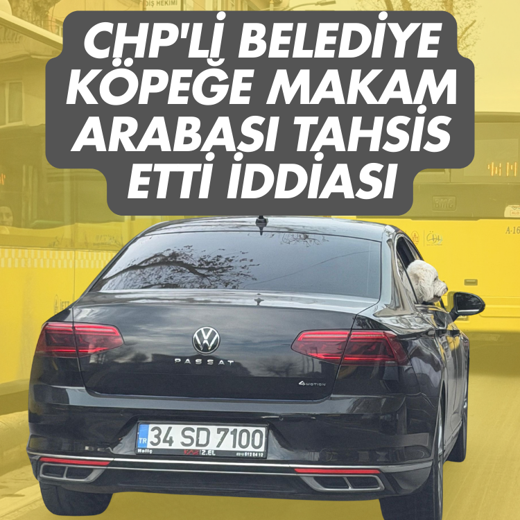 CHP'li belediye köpeğe makam arabası tahsis etti iddiası